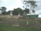Lot 8 Claremont Estate, Rifle Range Road, Pimpama QLD 4209