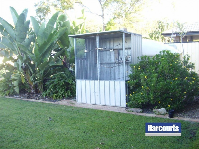 17 Osprey Drive, Jacobs Well QLD 4208