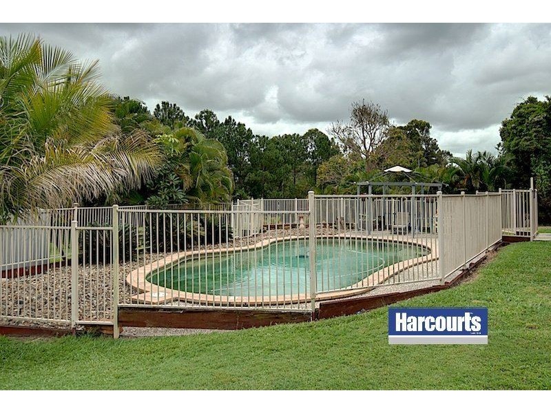 3 Oomool Crt, Pimpama QLD 4209