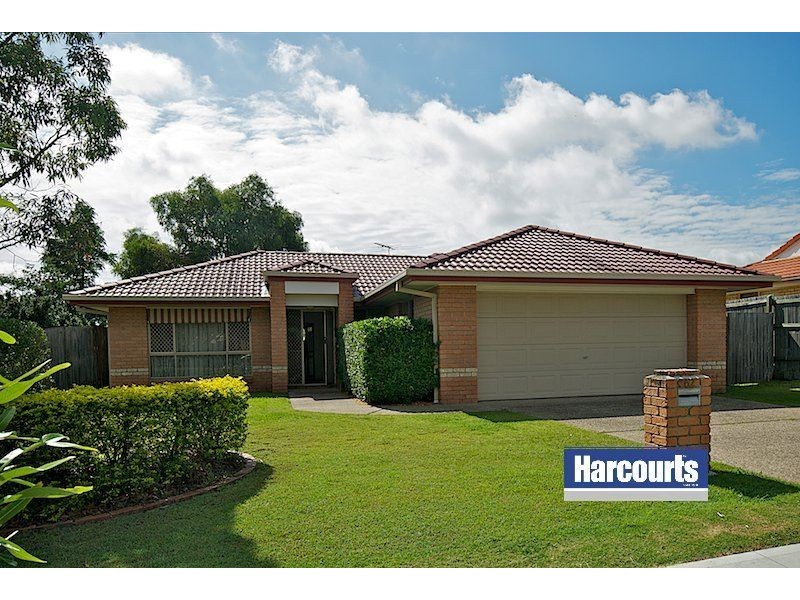 62 Doolan Street, Ormeau QLD 4208