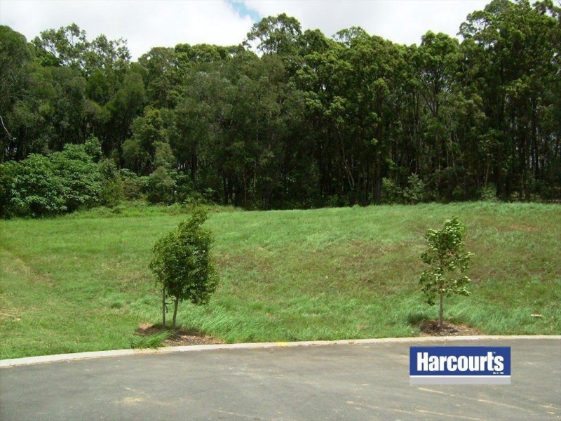 19 Currawong Crescent, Upper Coomera QLD 4209