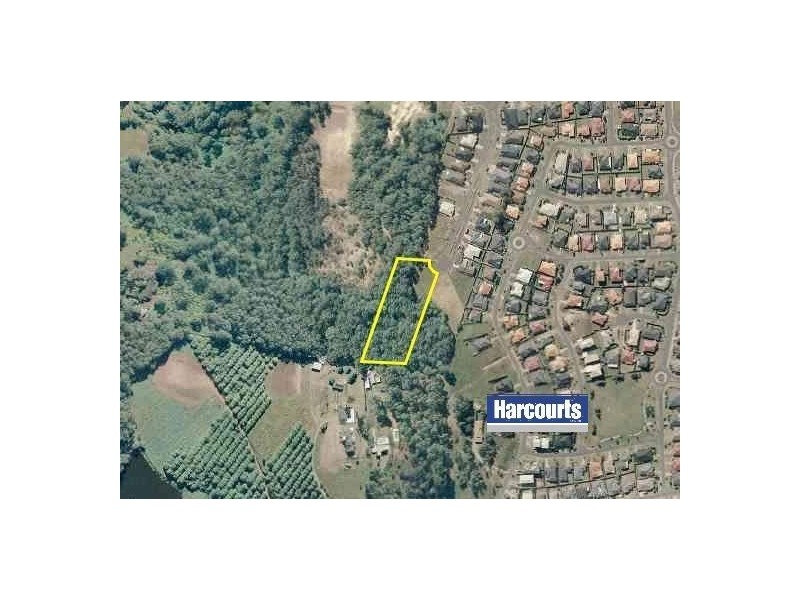 19 Currawong Crescent, Upper Coomera QLD 4209