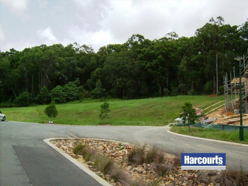 19 Currawong Crescent, Upper Coomera QLD 4209