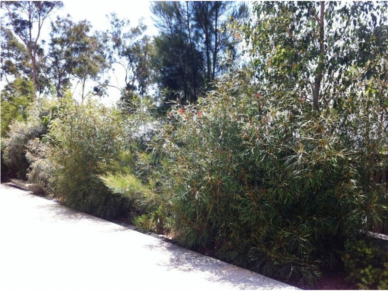 20 Maidenwell Rd, Ormeau QLD 4208