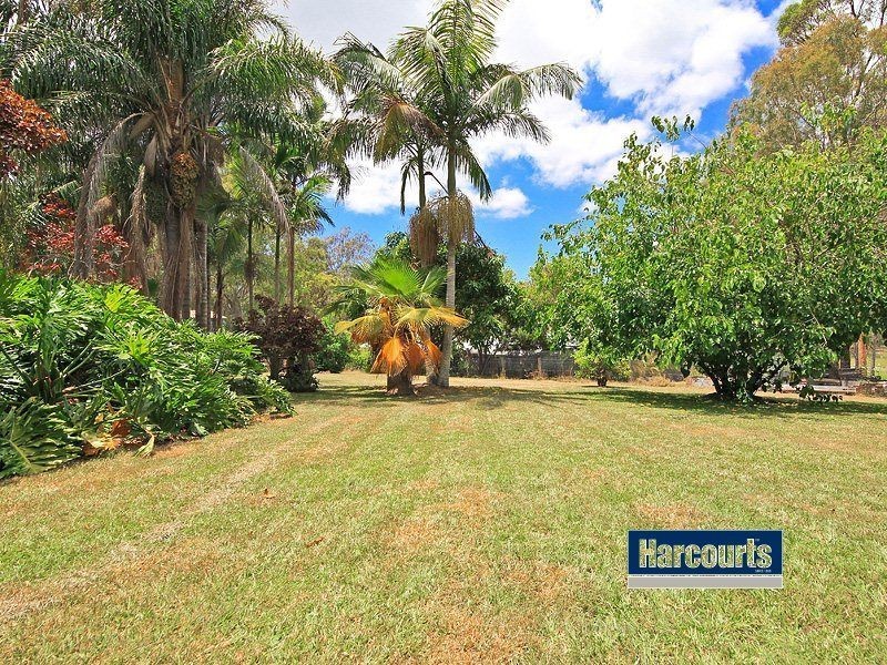 5 Lumeah Avenue, Pimpama QLD 4209