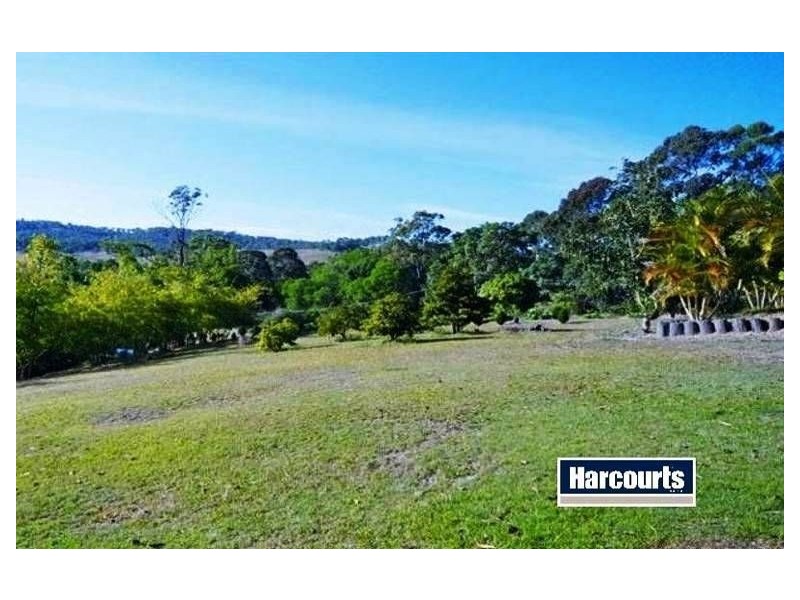 202 Thomsons Road, Kingsholme QLD 4208