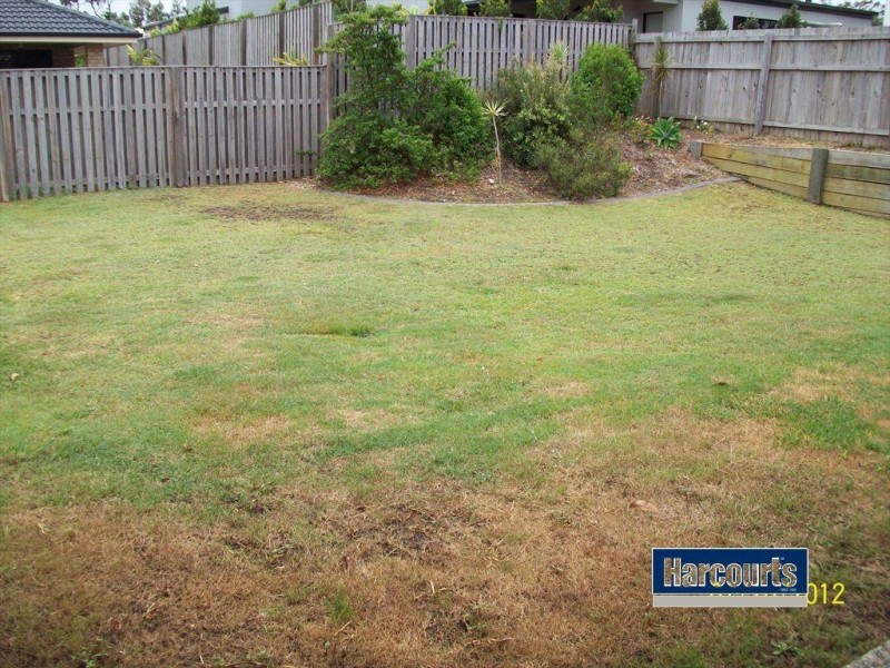 12 Focus Street, Ormeau QLD 4208