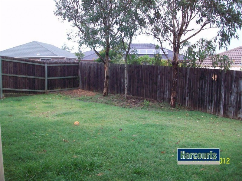 3 Hydrangea Street, Ormeau QLD 4208