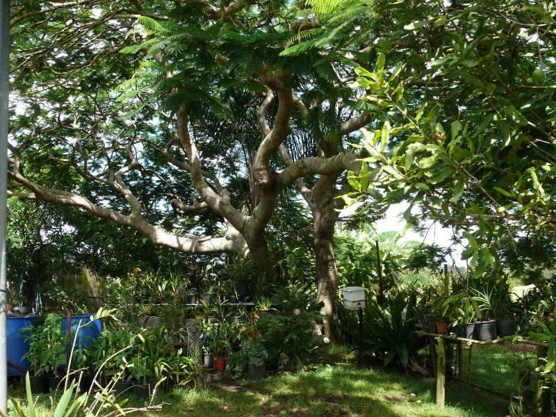 29 Jackson Lane, Yatala QLD 4207