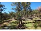 37 Shane Road, Willow Vale QLD 4209