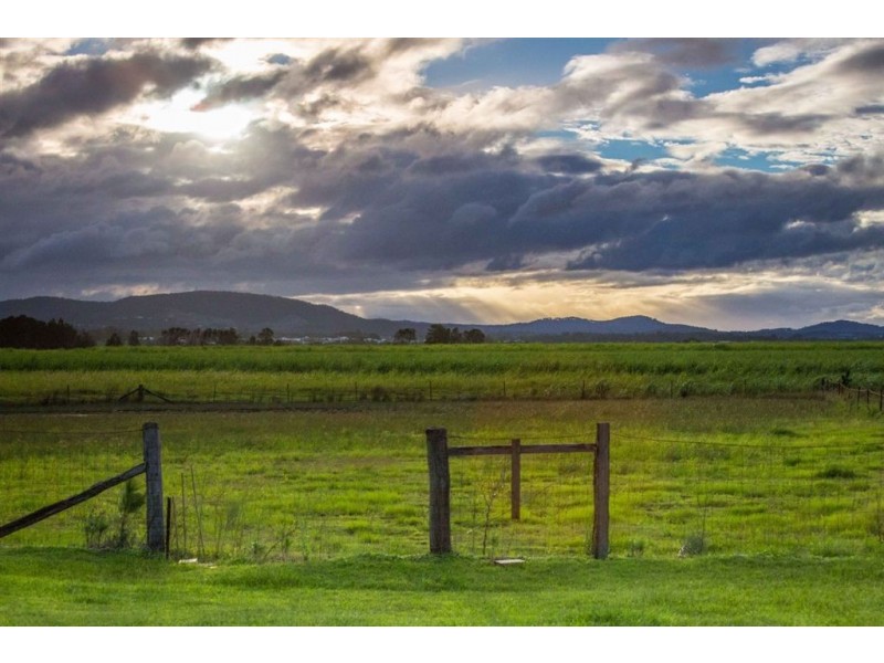 544 Norwell Road, Norwell QLD 4208