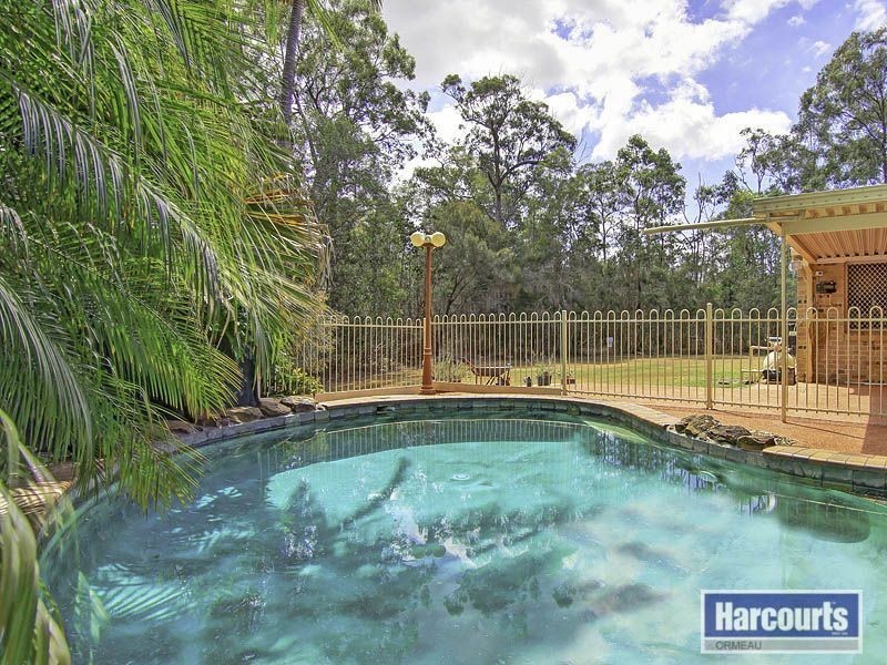 16 Beausang Place, Ormeau QLD 4208