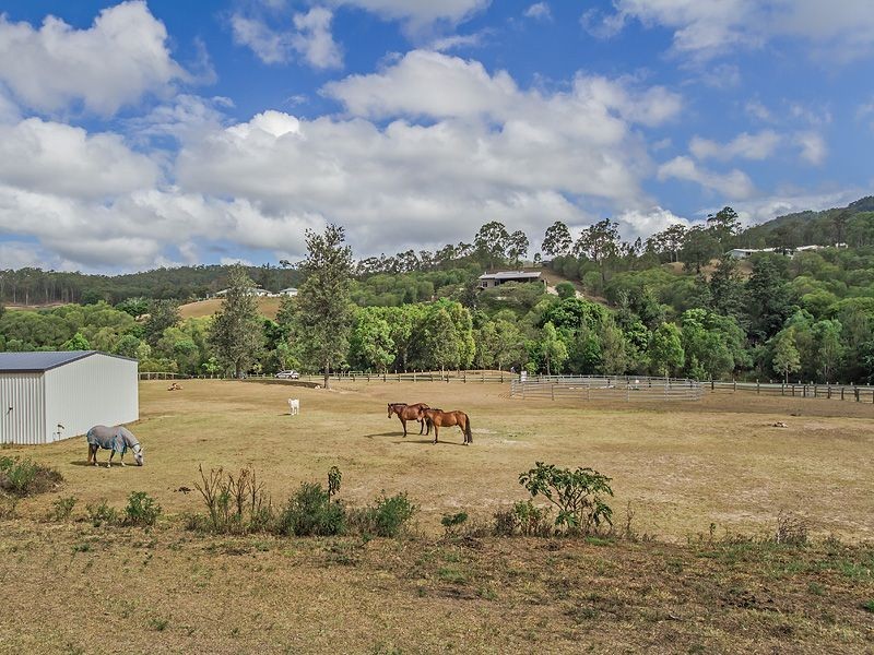 LOT 35 Ellen Grant Drive, Willow Vale QLD 4209