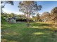 53 Guara Grove, Pimpama QLD 4209