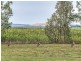 210 Goldmine Road, Ormeau QLD 4208