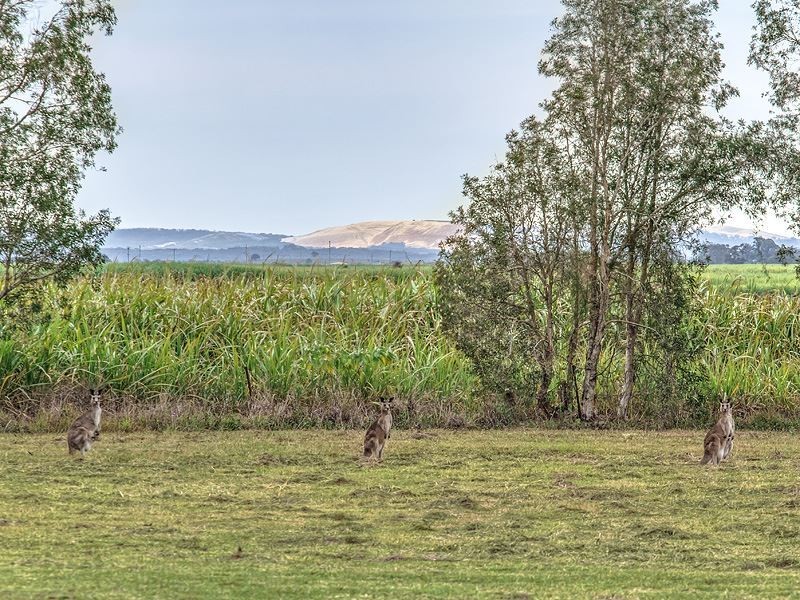 210 Goldmine Road, Ormeau QLD 4208