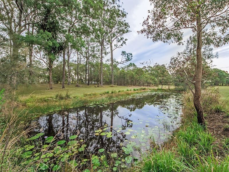 210 Goldmine Road, Ormeau QLD 4208