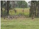 210 Goldmine Road, Ormeau QLD 4208