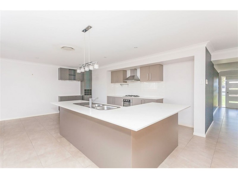 17 Carrieton Street, Ormeau QLD 4208