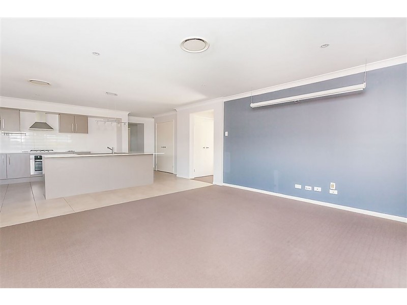 17 Carrieton Street, Ormeau QLD 4208