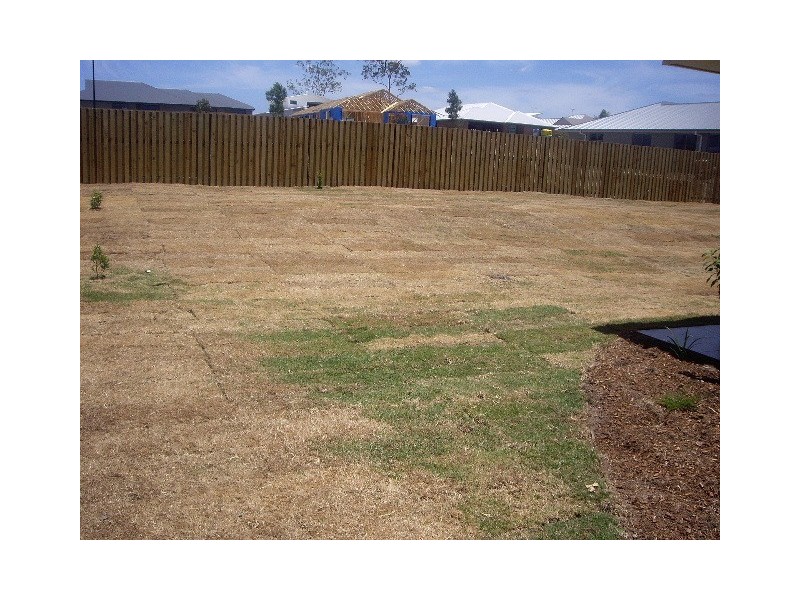 33 Lauradale Cr, Ormeau QLD 4208