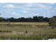 29 The Esplanade, Jacobs Well QLD 4208