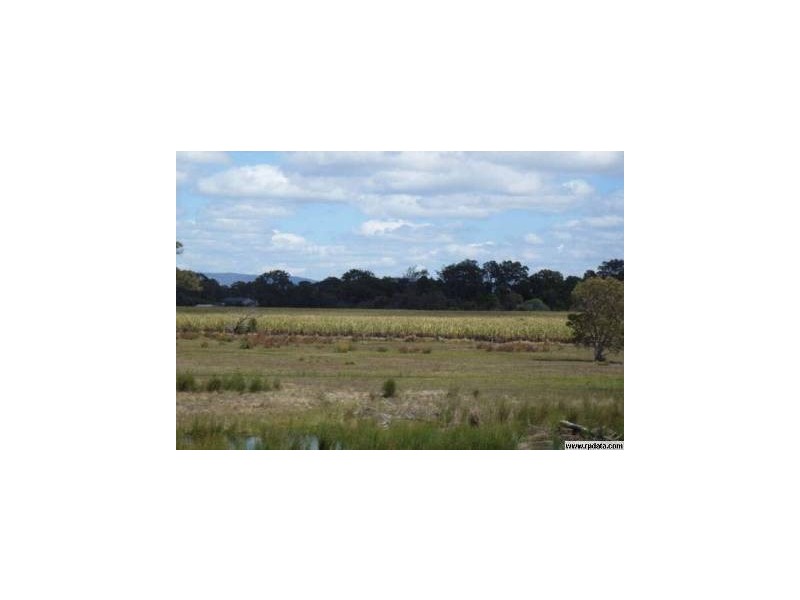 29 The Esplanade, Jacobs Well QLD 4208