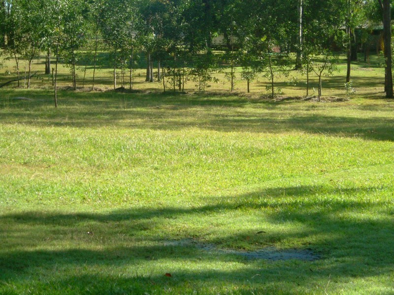 11 Doherty Court, Ormeau QLD 4208