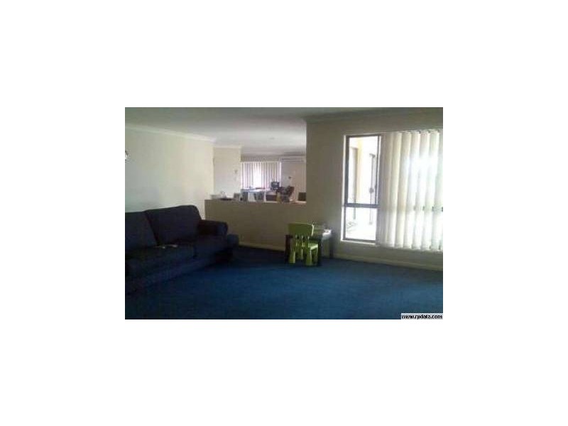 17 Maclagen Street, Ormeau QLD 4208
