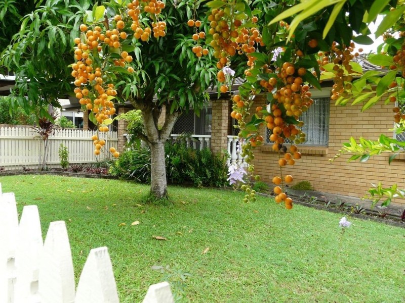 894 Underwood Road, Rochedale South QLD 4123