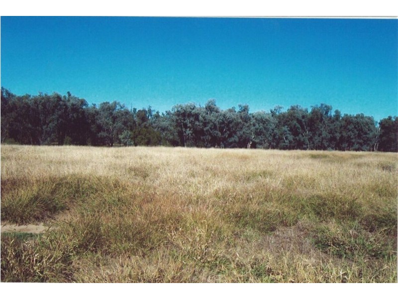 Lot 4 Carnarvon Highway, Surat QLD 4417