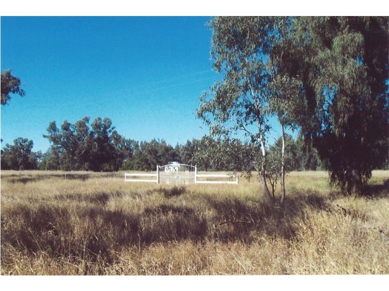 Lot 4 Carnarvon Highway, Surat QLD 4417