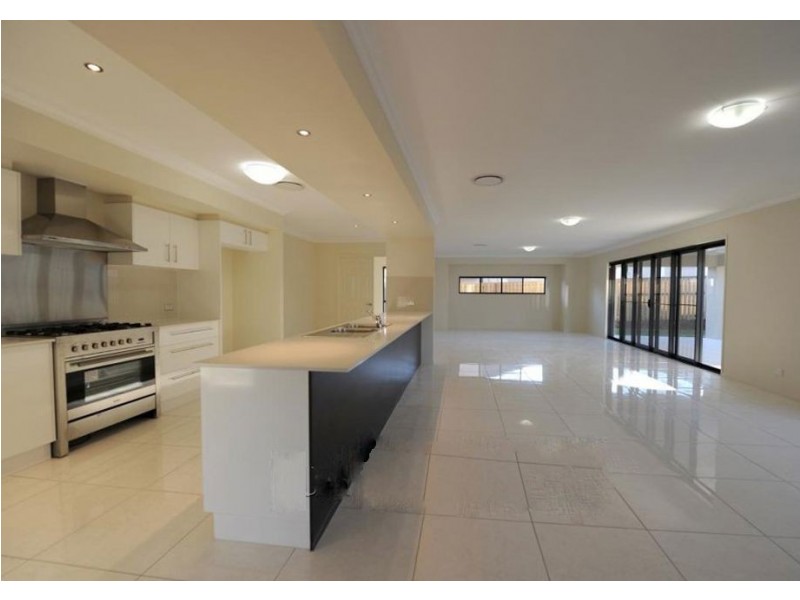 16 Beechwood Close, Stretton QLD 4116