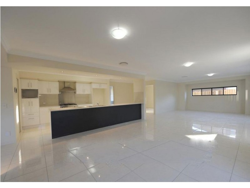 16 Beechwood Close, Stretton QLD 4116