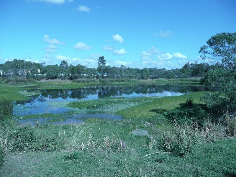 43 Meadowbrook Drive, Meadowbrook QLD 4131