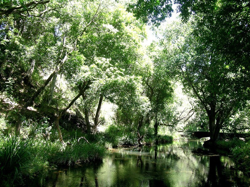 53 Westwood Drive, Samford Valley QLD 4520