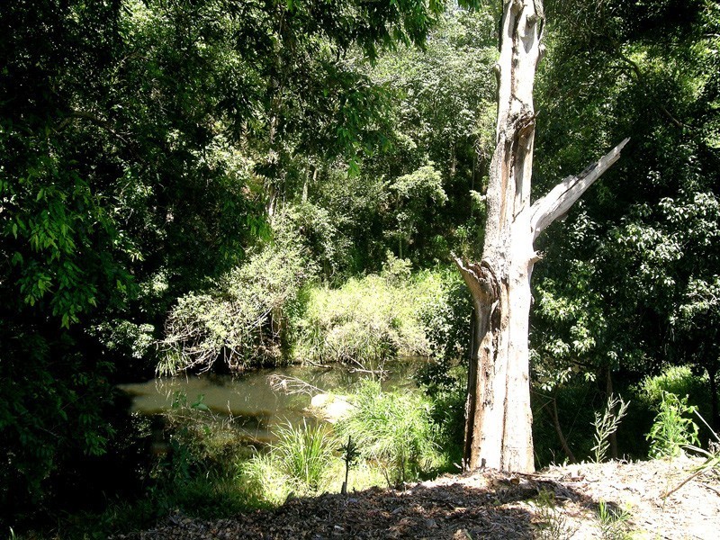 53 Westwood Drive, Samford Valley QLD 4520