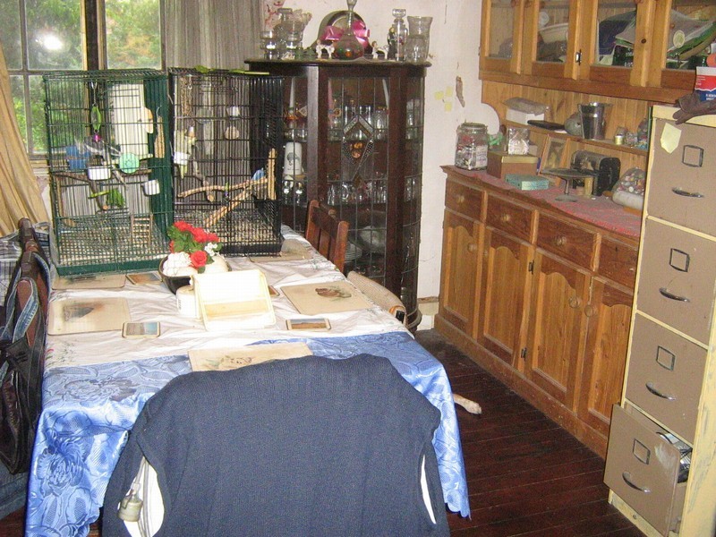 19 GOULBURN STREET, Gordon Park QLD 4031