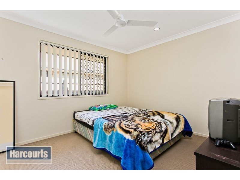8 Lacebark Street, Morayfield QLD 4506