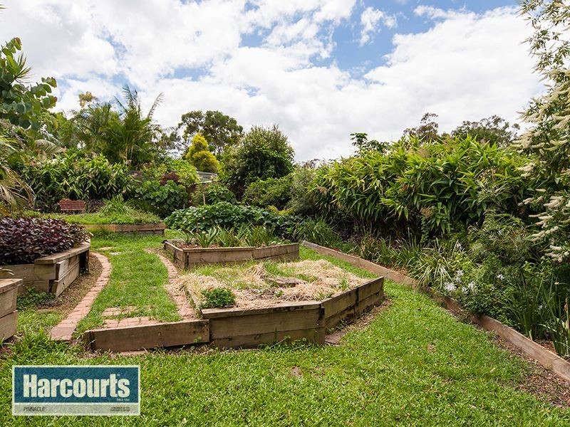 10 Weyba Court, Petrie QLD 4502