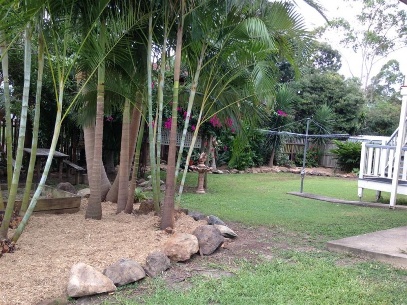 42 Pimelea Street, Everton Hills QLD 4053