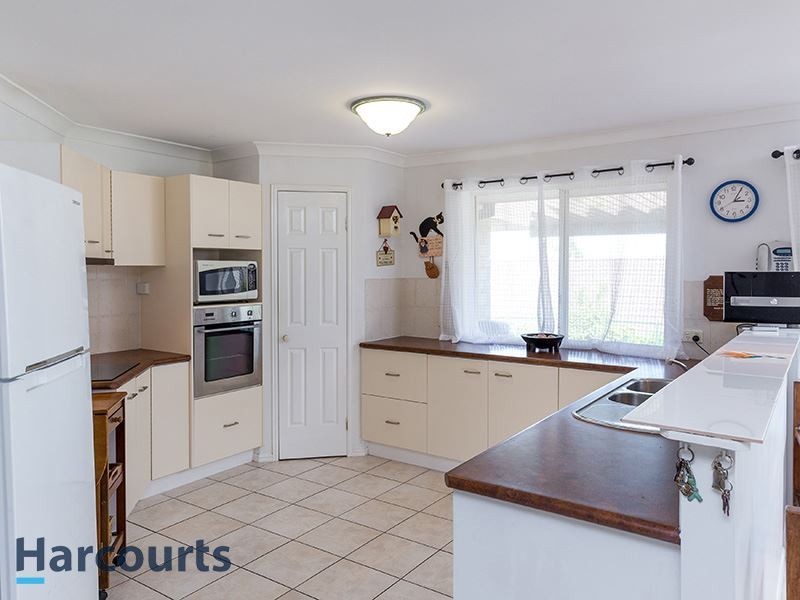 21 Hayward Ave, Cashmere QLD 4500