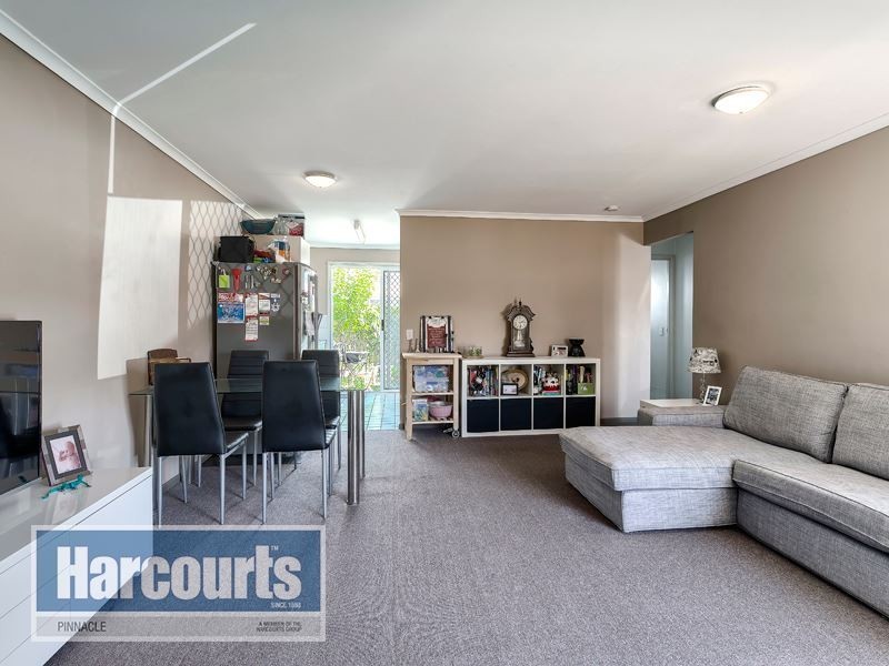 29 Raiteri Court, Brendale QLD 4500