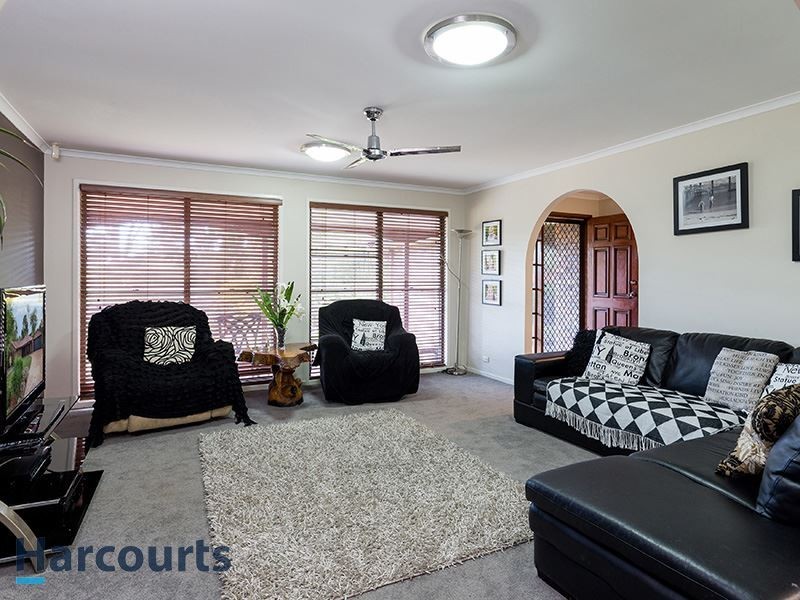 10 Chartres Ct, Petrie QLD 4502