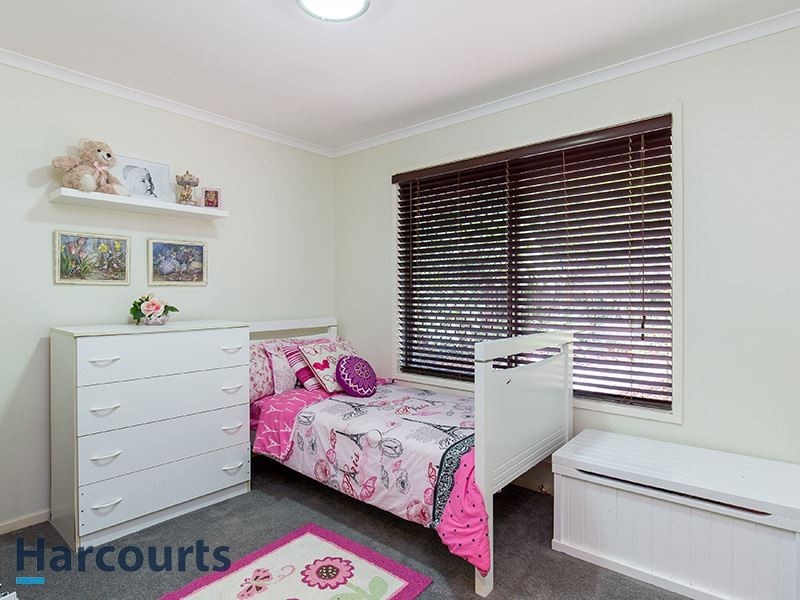 10 Chartres Ct, Petrie QLD 4502