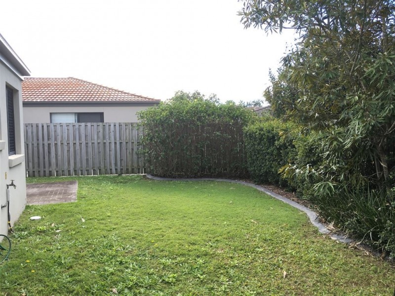 35 Waterlily Circuit, Carseldine QLD 4034