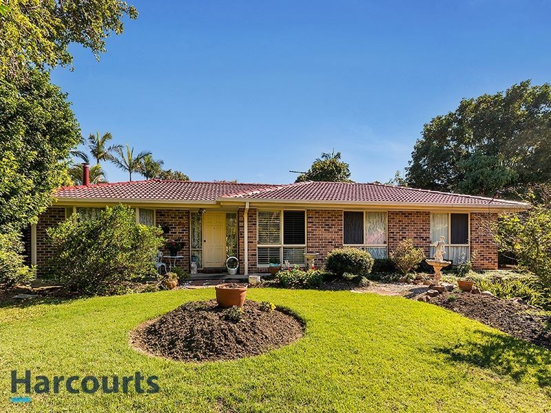 45 Eucumbene Dr, Petrie QLD 4502