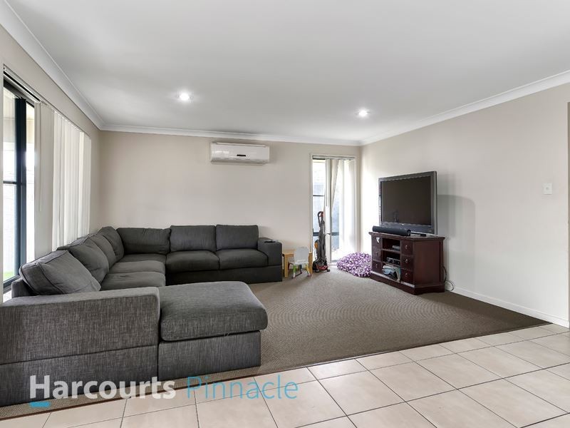 10 Lacebark Street, Morayfield QLD 4506