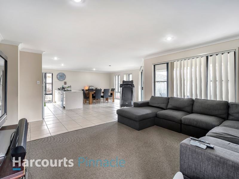 10 Lacebark Street, Morayfield QLD 4506