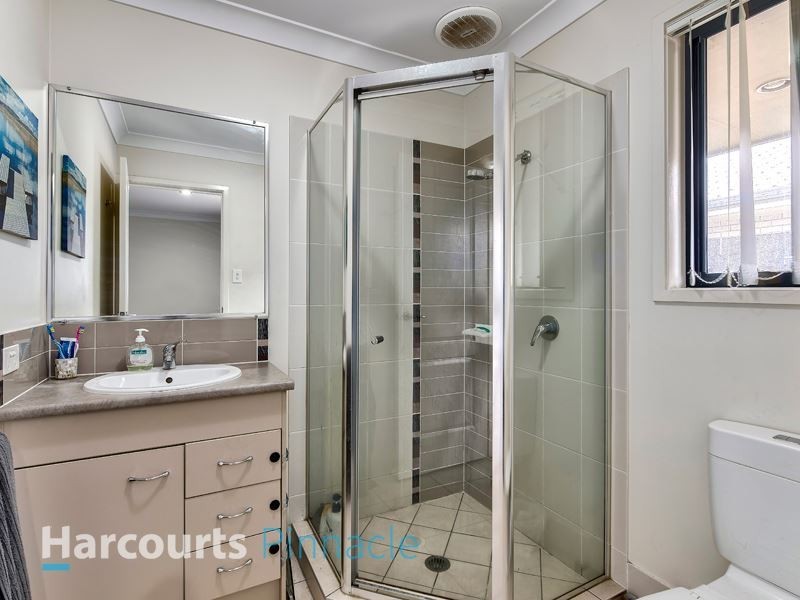 10 Lacebark Street, Morayfield QLD 4506